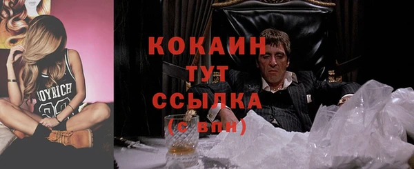 индика Армянск