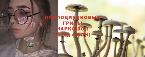 не бодяженный Аркадак