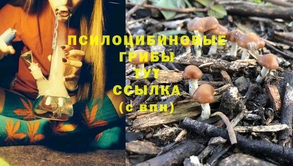 индика Армянск