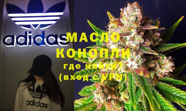 индика Армянск