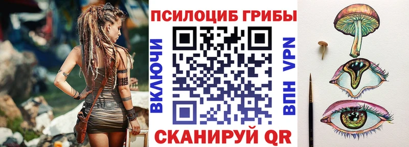 Купить где  Купино  Галлюциногенные грибы прущие грибы 
