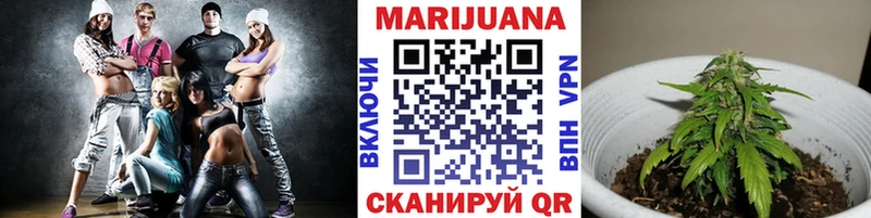 Купить Купино Марихуана план